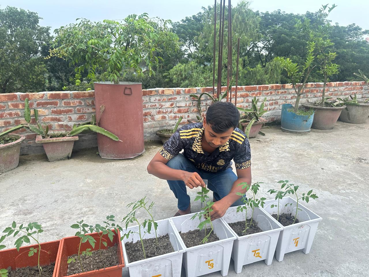 Scaling the tomato Plan